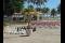Hotel Playa Giron Playa Giron